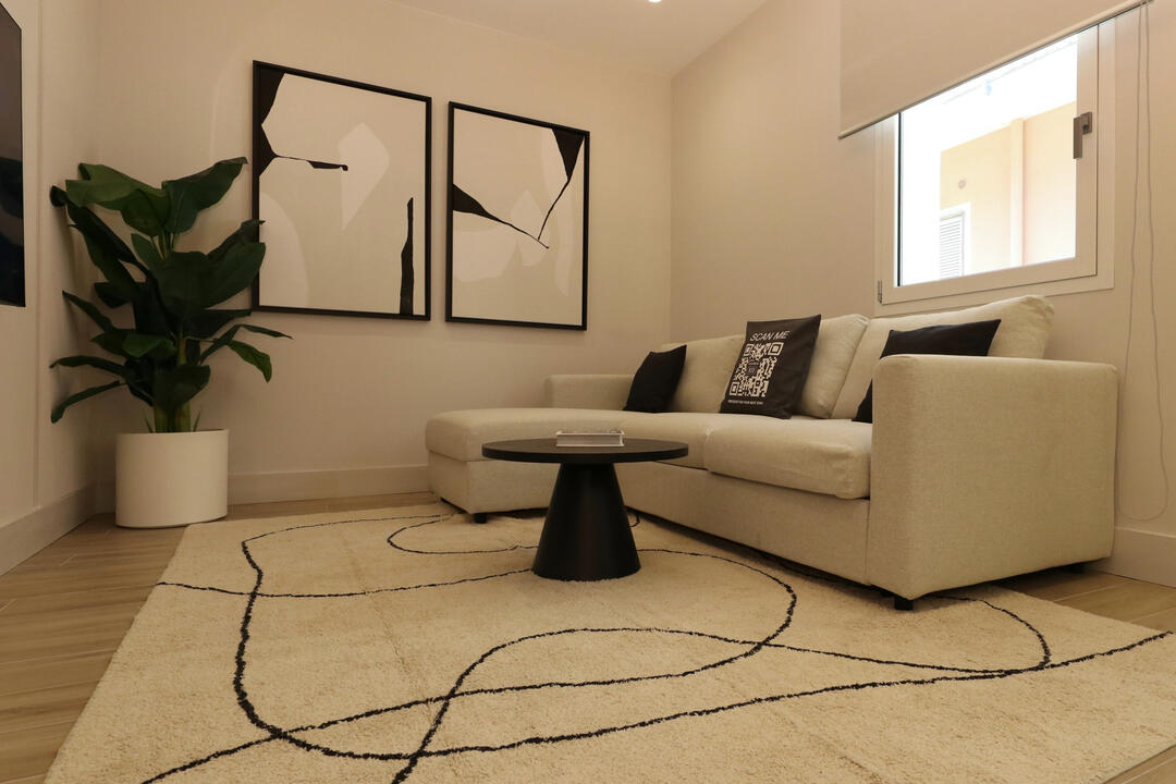 Living area with comfortable sofa bed